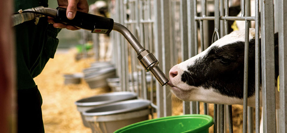AG Theuma Job Tierwirt Vorschau 2 3